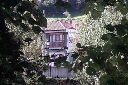 Cumbres de los Picos Apartamento Los Abedules