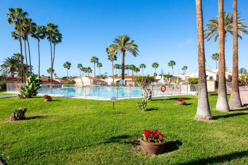 One bedroom bungalow at Playa del Ingles Maspalomas 500 m away from the beach with shared pool furnished terrace and wifi