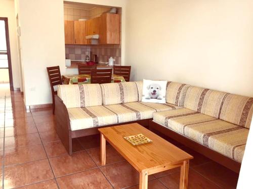 One Bedroom Appartement With City View Shared Pool And Furnished Balcony At San Miguel De Abona