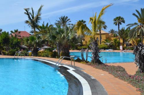 One bedroom appartement with shared pool furnished terrace and wifi at Corralejo 1 km away from the beach