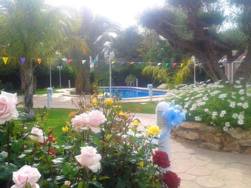 2 bedrooms appartement with shared pool furnished terrace and wifi at Elche 6 km away from the beach