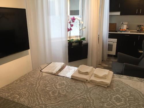 Astoria Double-Studio Interior serviced apartment