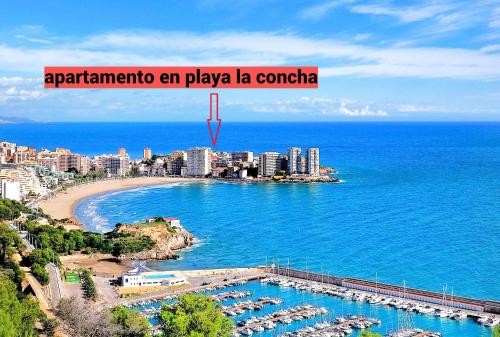 Ayf Playa La Concha Moderno Con Wifi
