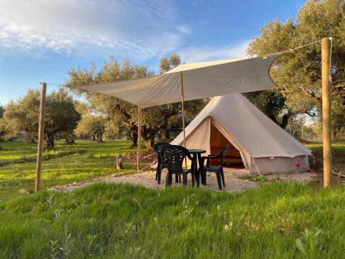 Bellissima Bell tent