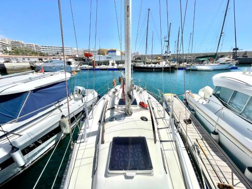 Boat with bar and terrace - A Different Way To Stay