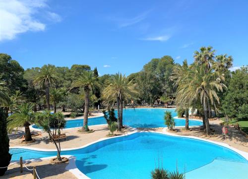 Camping & Resort La Torre del Sol