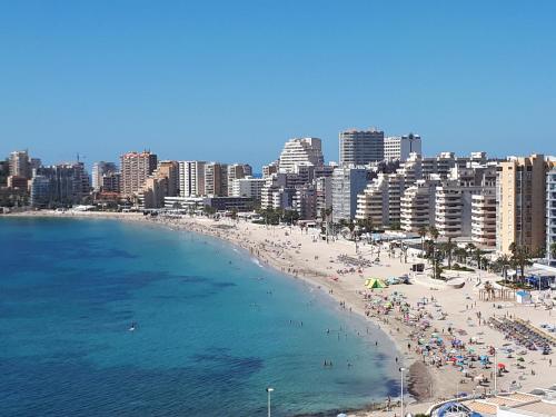 Calpe Centro Turist 1 Linea President