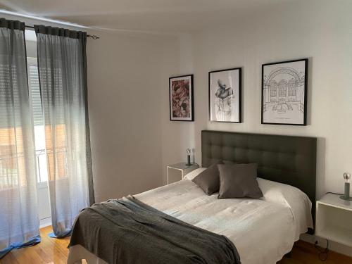 Camino De Santiago En Casco Historico