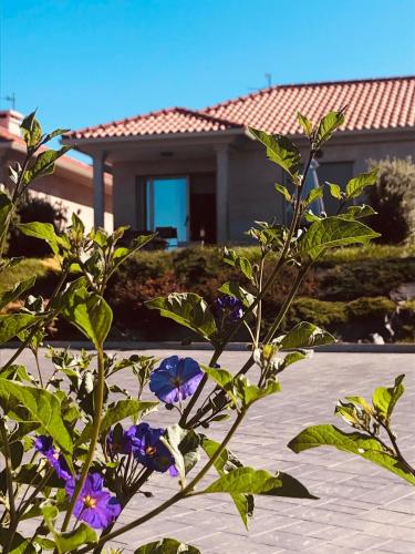 Casa con jardín al lado de Playa Hío