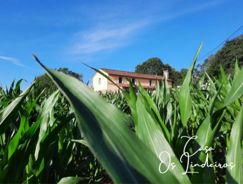 Casa Os Lindeiros, Arzúa