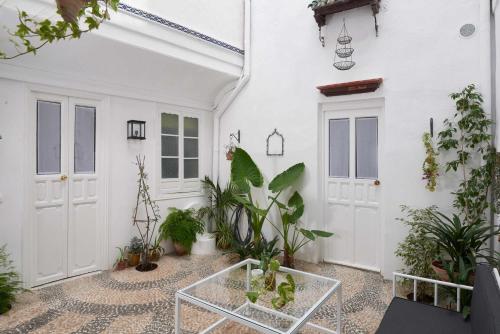Casa patio en el centro de Córdoba