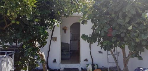 Casa rodeada de naturaleza en La Gomera