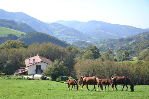 Casa Rural Arriaran