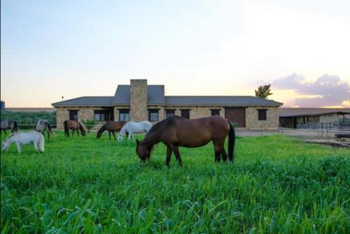 Casa Rural Ecuestre