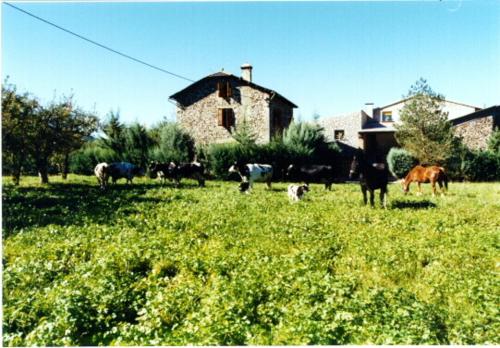 Casa Rural La Vall del Cadi