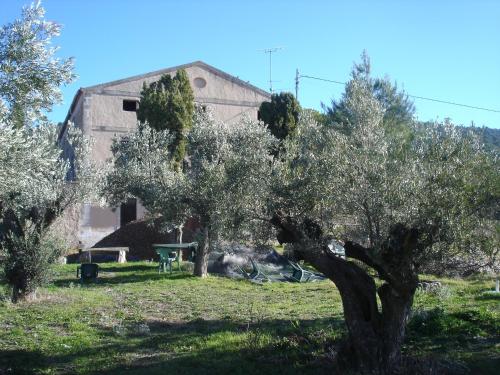 Casa Rural Masía Barbera