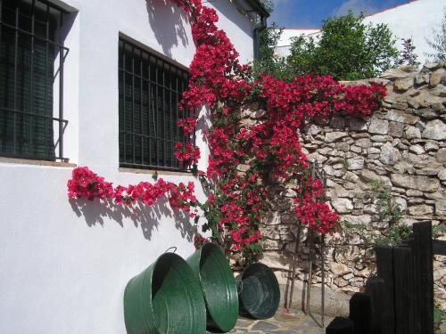 Casa Rural y Restaurante Casa Adriano