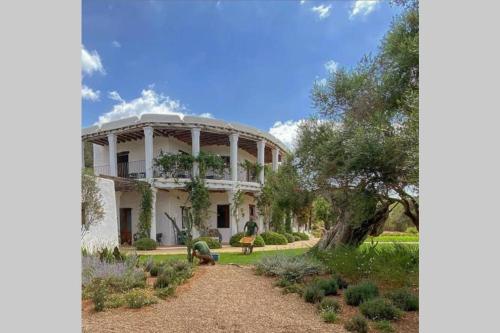 Charming countryside house in Ibiza