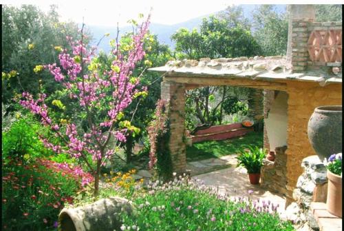 Mountain house surrounded by nature