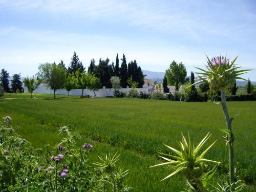 Cortijo Jabonero