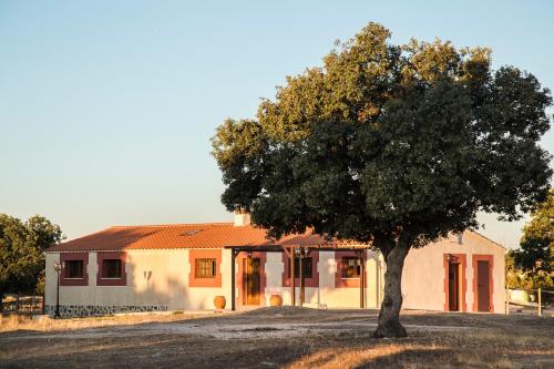 Dehesa de Montealto