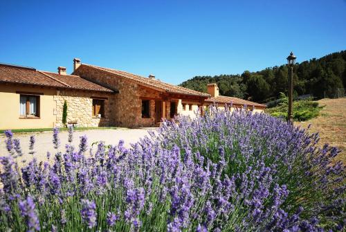 Hotel Del Verde Al Amarillo