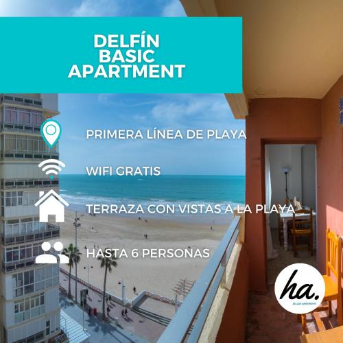 Delfín Playa Basic Apartment
