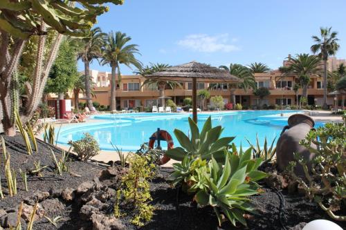 Apartment "Apple" in Corralejo Heart with Swimming Pool & Wifi- Only 300m to the Beach by Holidays Home