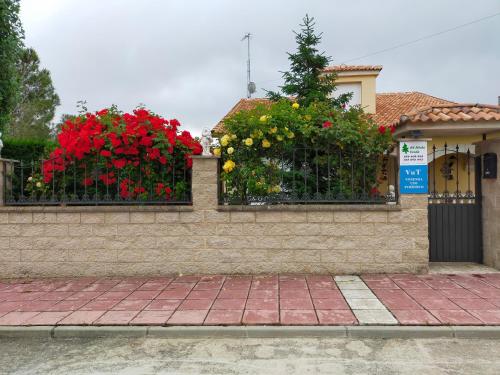 El Abeto Verde
