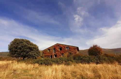 El Cuento De La Encina. Un Espacio Para Sentir