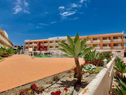 Family Studio, Wifi, heated pool, Tenerife South