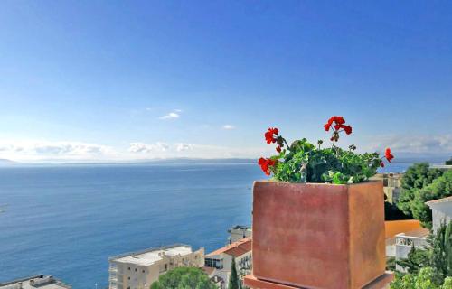 Fantastico studio, vista mare, 5mn dalla spiaggia - Casa ArteVida