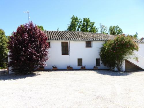 Fincaretama Farmhouse Apartment Ronda