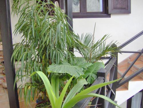 Ferienwohnung mit kleiner Innenhof-Terrasse im mediterranen Stil