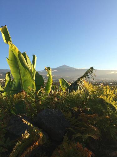 Finca La Plantación _Agroturismo
