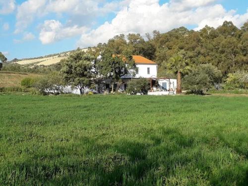 Finca Los Meleros Andalucian Farmhouse Set In Its Own Land With Beautiful Terraces, Garden & Pool.