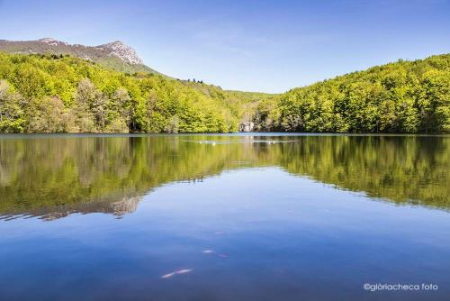 Hostal l Avet Blau