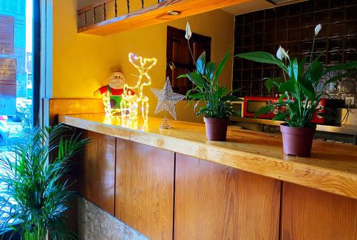 Hostel Napoles