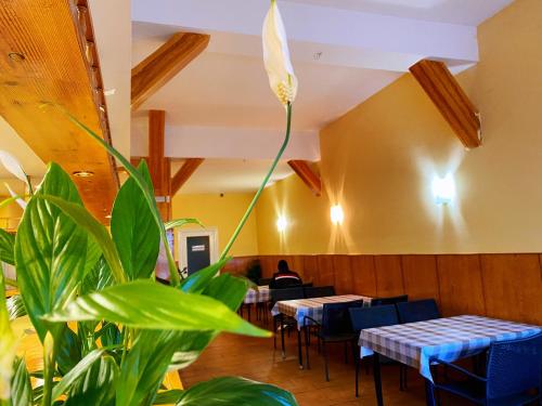 Hostel Nápoles