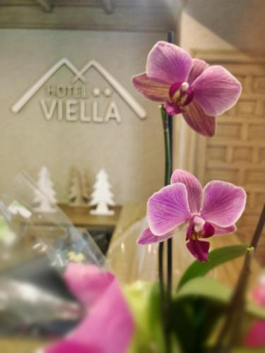 Hotel Viella