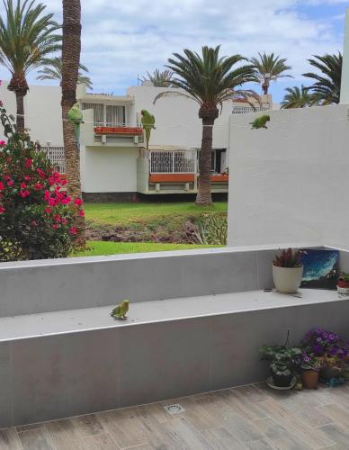 Ideal holiday apartment in the south of Tenerife