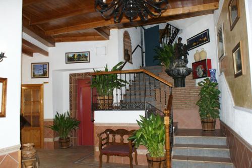 Hotel Juan Francisco