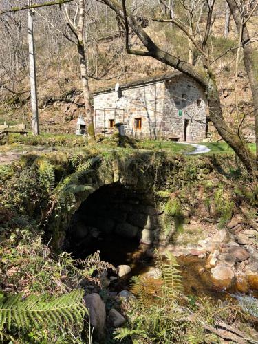 La Cabaña del Río