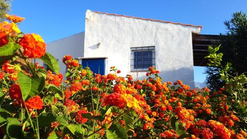 Las Casitas de Felipe