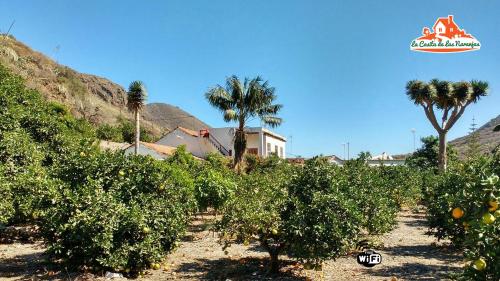 La Casita de Las Naranjas