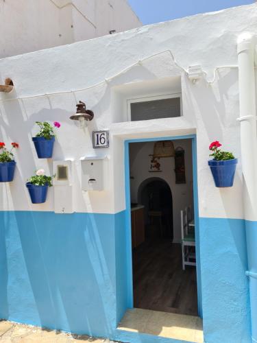 La casita de Sheyla