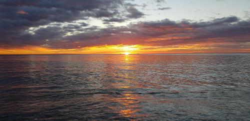 La Niña del Mar