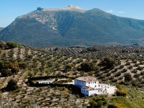 Cortijo La Presa