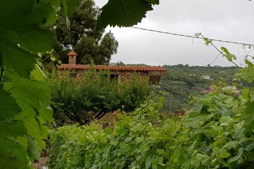 La Tagora Casa Rural En Icod De Los Vinos