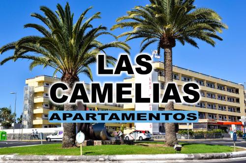 Las Camelias Apartments (E14) Pool And Solarium
